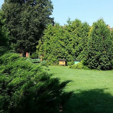 Kwiatowa Zagroda Bialowieza Bagian luar foto