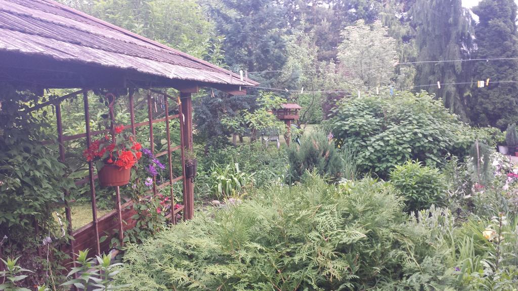 Kwiatowa Zagroda Bialowieza Bagian luar foto