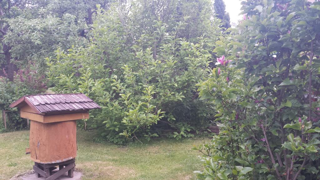 Kwiatowa Zagroda Bialowieza Bagian luar foto