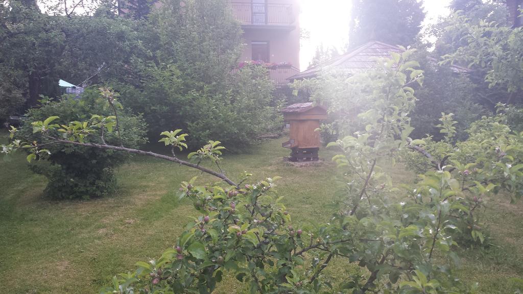 Kwiatowa Zagroda Bialowieza Bagian luar foto