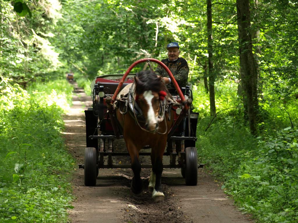 Kwiatowa Zagroda Bialowieza Bagian luar foto