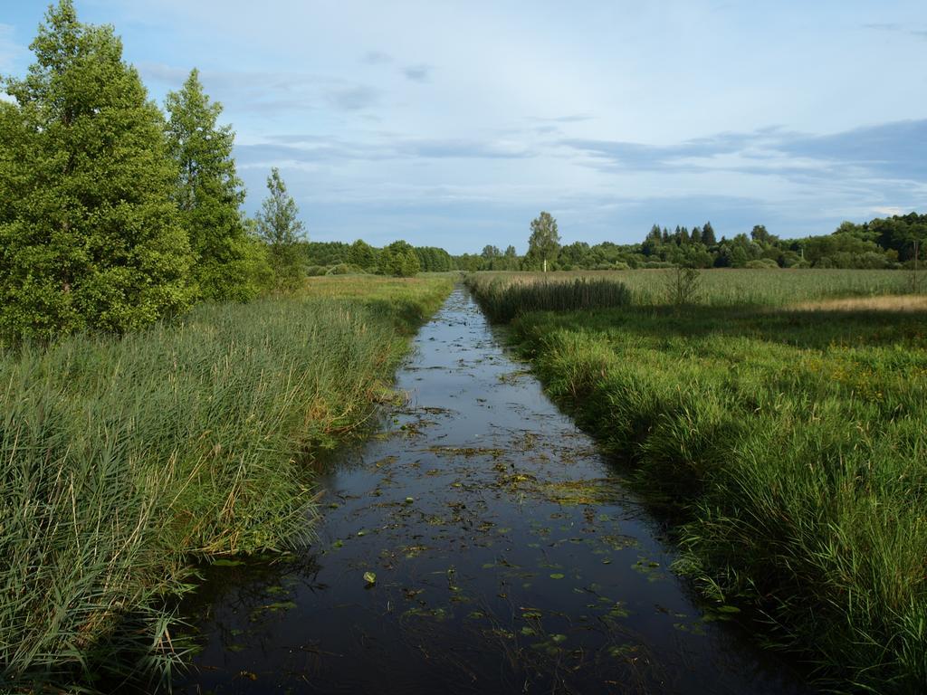 Kwiatowa Zagroda Bialowieza Bagian luar foto