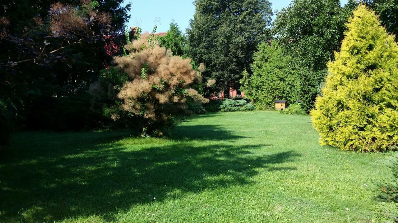 Kwiatowa Zagroda Bialowieza Bagian luar foto