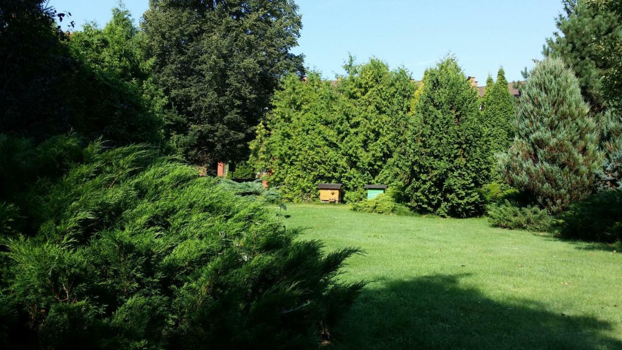 Kwiatowa Zagroda Bialowieza Bagian luar foto